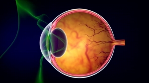 Retinal detachment surgery: Who does it, how much it costs